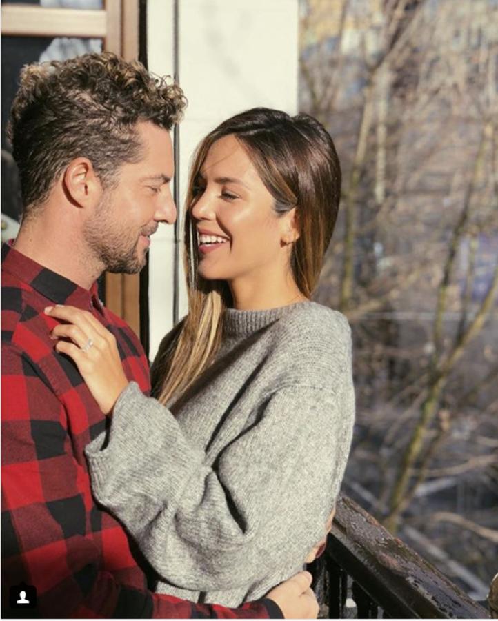 David Bisbal anunciaba con esa foto su compromiso con Rosanna Zanetti.