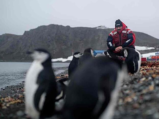 Carlos Bardem ya ha colaborado en otras ocasiones con la ONG.