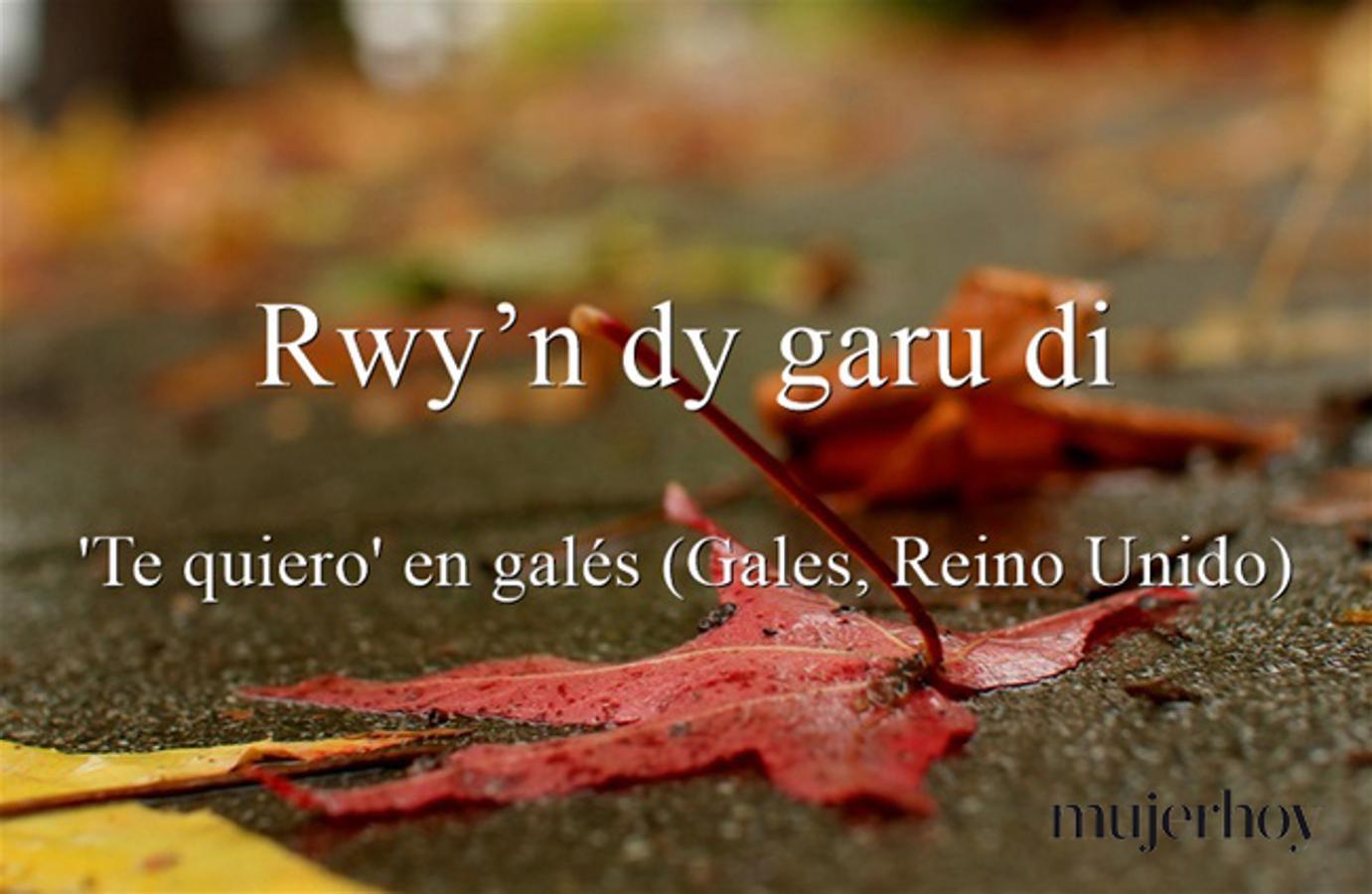 Cómo se dice 'te quiero' en galés