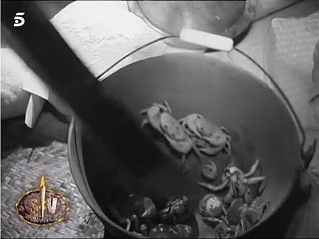 Este es el resultado final de la pesca nocturna de cangrejos de los concursantes de 'Supervivientes 2018'.