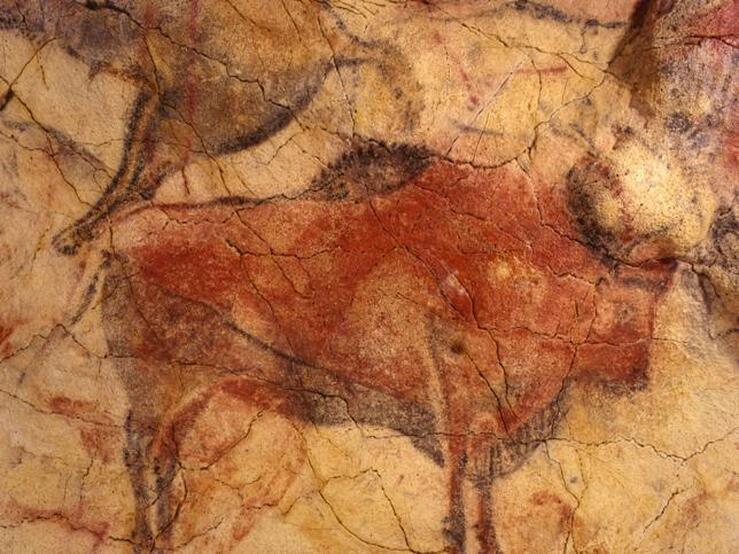 Fotos: Vacaciones en una cueva