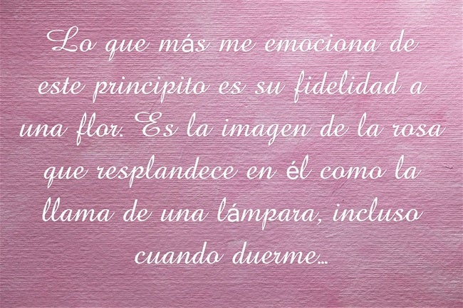 Lo que más me emociona de este principito es su fidelidad a una flor. Es la imagen de la rosa que resplandece en él como la llama de una lámpara, incluso cuando duerme...