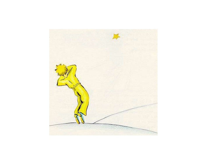 Si uno se deja domesticar, corre el riesgo de llorar un poco...