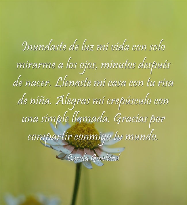 Inundaste de luz mi vida con solo mirarme a los ojos, minutos después de nacer. Llenaste mi casa con tu risa de niña. Alegras mi crepúsculo con una simple llamada. Gracias por compartir conmigo tu mundo. Carola Gowland