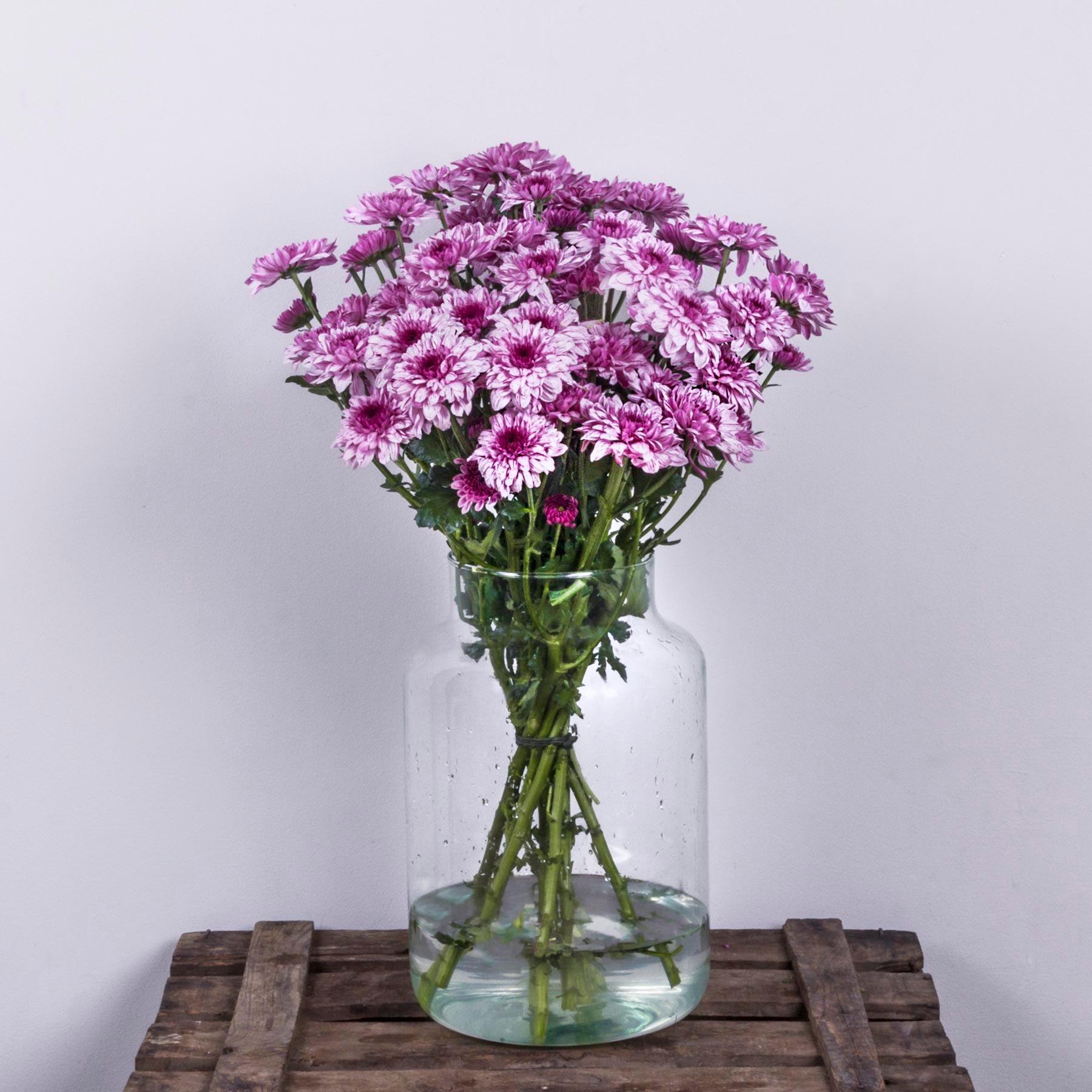 Para las mamás bohemias y soñadoras, Colvin aconseja regalar crisantemos rosas. Los crisantemos son unas de las flores más valoradas. Aquellas madres informales que no siguen convencionalismos. Tienen su forma particular de ver el mundo, y aman por encima de todo, siempre después de sus hijos claro, el arte y la literatura.