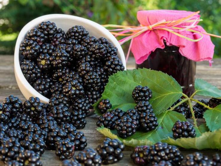 Fotos: Los mejores alimentos para evitar la celulitis