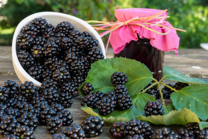 Moras: Los alimentos antioxidantes como las moras tienen la capacidad de protegernos frente a los radicales libres, es decir oxidantes, y ofrecer así una mejor salud de las paredes vasculares.