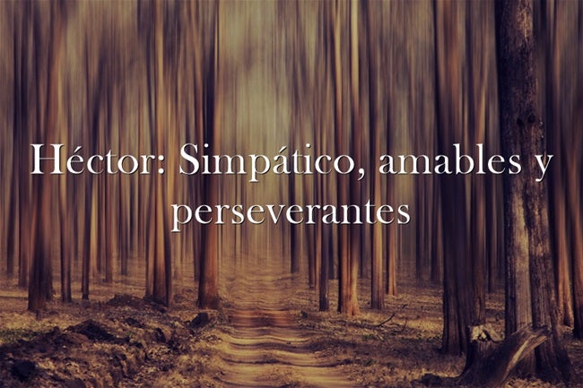 Héctor: Simpático, amables y perseverantes. Héctor se entiende por su raíz griega como ‘poseedor’ Héctor conseguirá todo lo que se proponga.