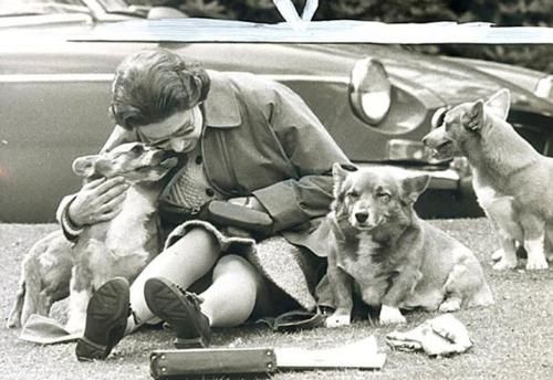 Esta foto, tomada en Windsor en 1973, muestra a la Reina en un momento de intimidad con sus perros que rara vez sale a la luz. Que ternura ver a una de las mujeres más poderosas del mundo en el suelo, recibiendo un lametón de su mascota.