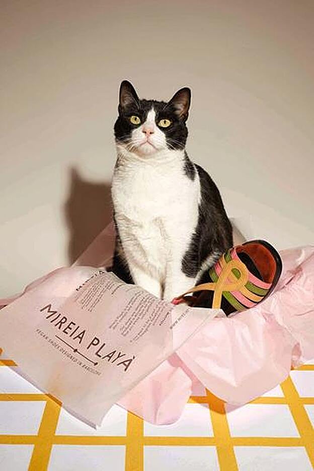 Mireia Playà se une a la Asociación en Defensa de los Animales