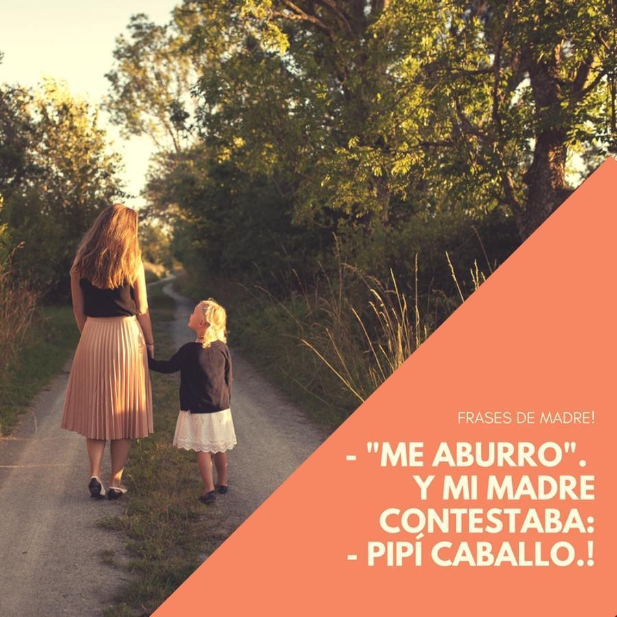 ¡Cuántas veces habremos dicho "me aburro"! En casa, en el parque, jugando con los amigos, jugando solos... Las 1001 respuestas de las madres cuando decimos esa manida expresión merecerían un capítulo aparte. Pero esta frase de "Pipí caballo" nos ha parecido divertidísima.
