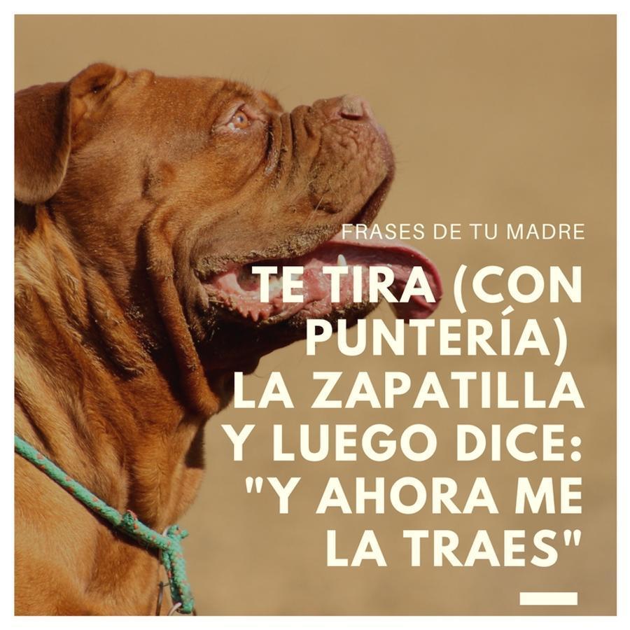 El lanzamiento de zapatilla en pasillo debería ser un juego olímpico. La de campeonas que se han desperdiciado debido al anonimato de esta habilidad. Lo mejor de todo es la variante en la que tu madre, después de lanzar la zapatilla tirando a dar, te dice que, además, se la traigas.