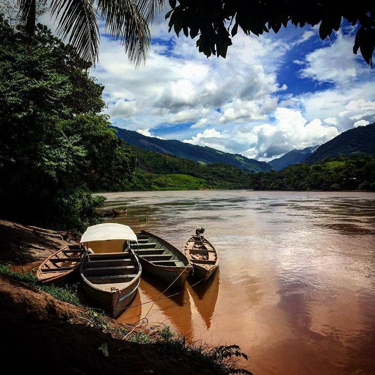 Adentrarte en la Amazonía peruana y descubrir la magia del pulmón del mundo.