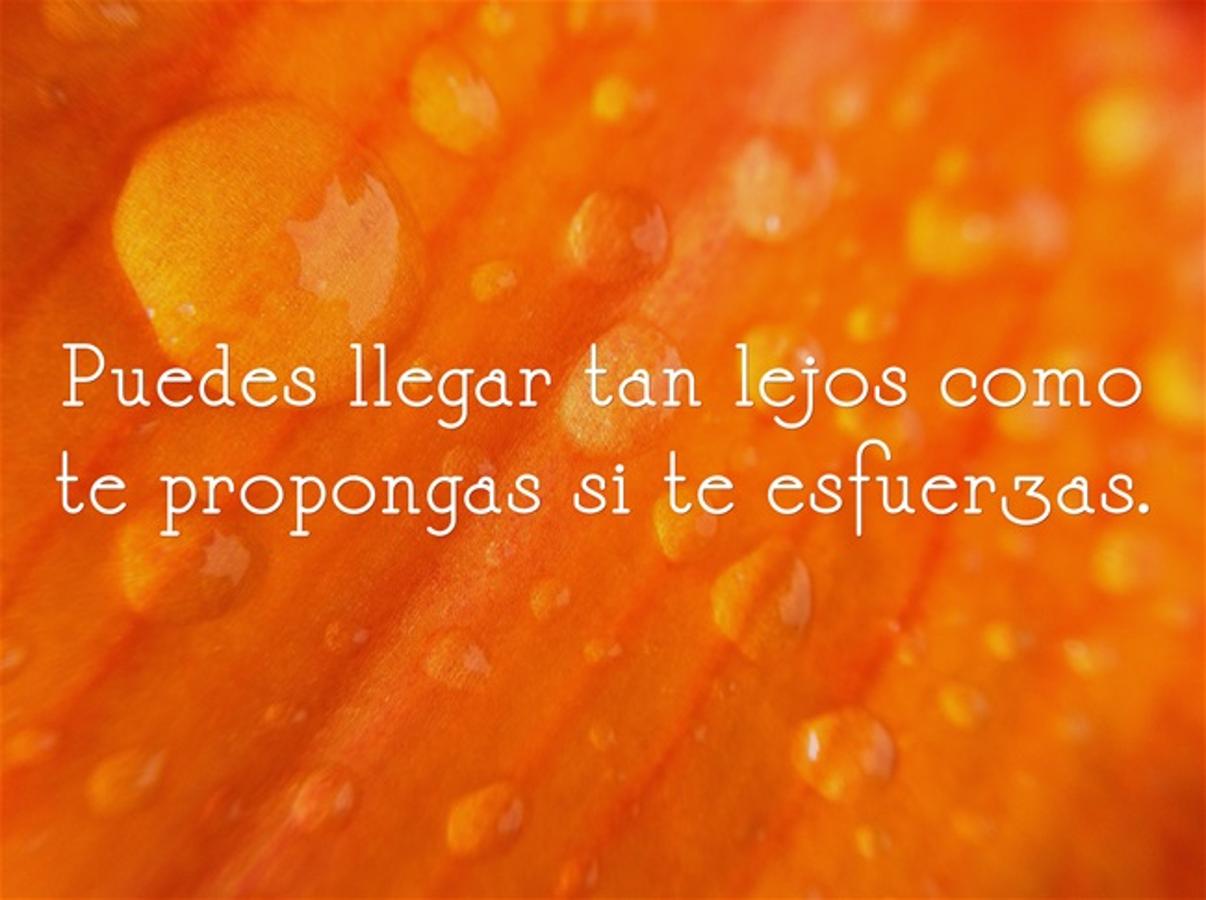 Puedes llegar tan lejos como te propongas si te esfuerzas.