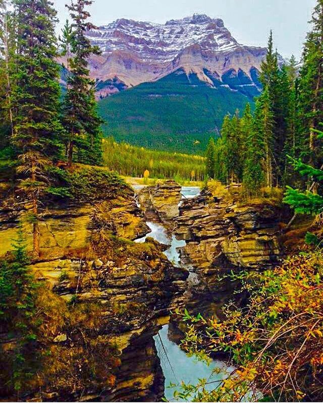 Meghan y Harry pasarán su luna de miel rodeados de los impresionantes paisajes naturales de Parque Nacional de Jasper, en Alberta.