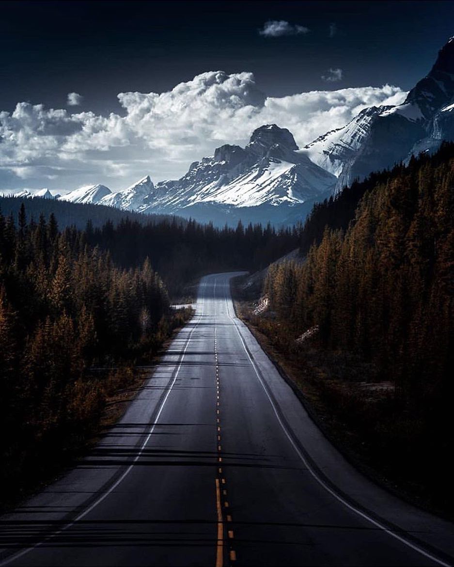 ¿Harán los novios algún 'roal trip' por el Parque Nacional de Jasper durante su estancia de luna de miel en el Fairmont Jasper Park Lodge?