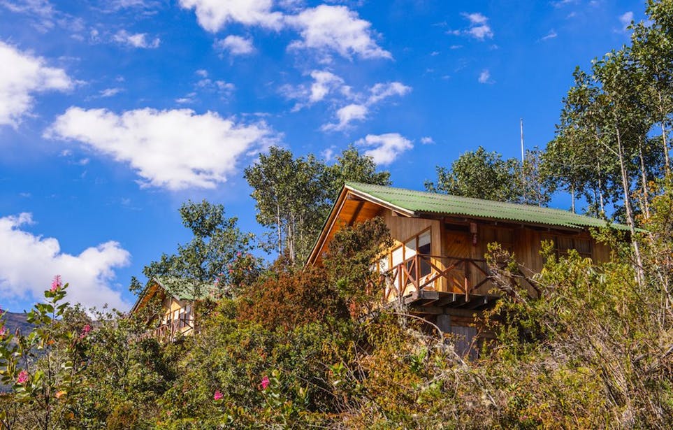 Te proponemos, de la mano de Musement y Visit.org tres días de caminata por el Bosque Nublado Amazónico, donde podemos avistar aves y flores autóctonas, a la vez que descubrimos la vida tradicional de la región. Los ingresos de las excursiones se revierten en la preservación de esta selva tropical.