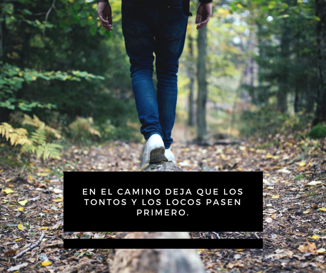 En el camino deja que los tontos y los locos pasen primero.