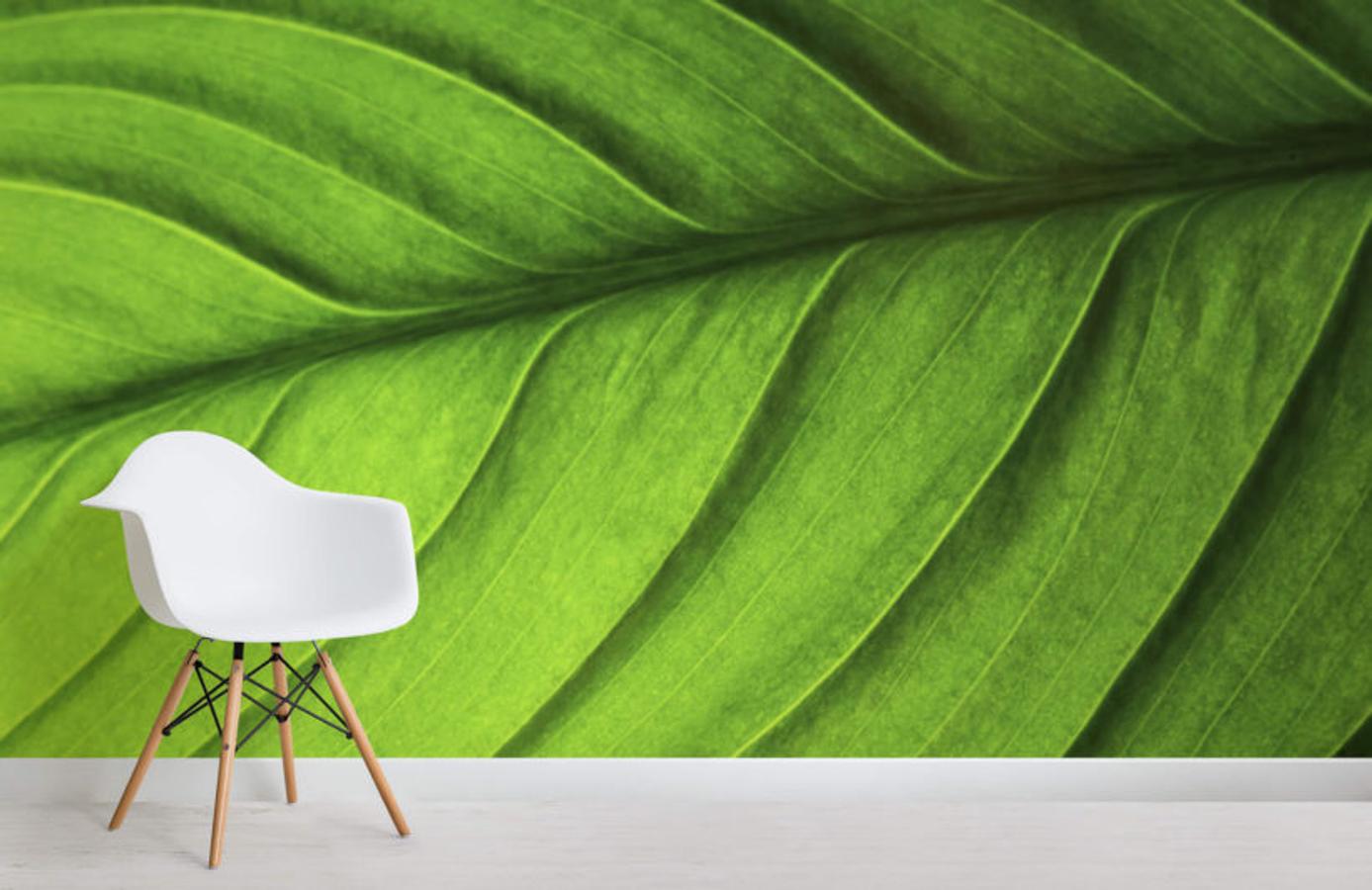 El verde se adueñará de la pared más especial de tu hogar con este papel pintado en forma de hoja gigante.