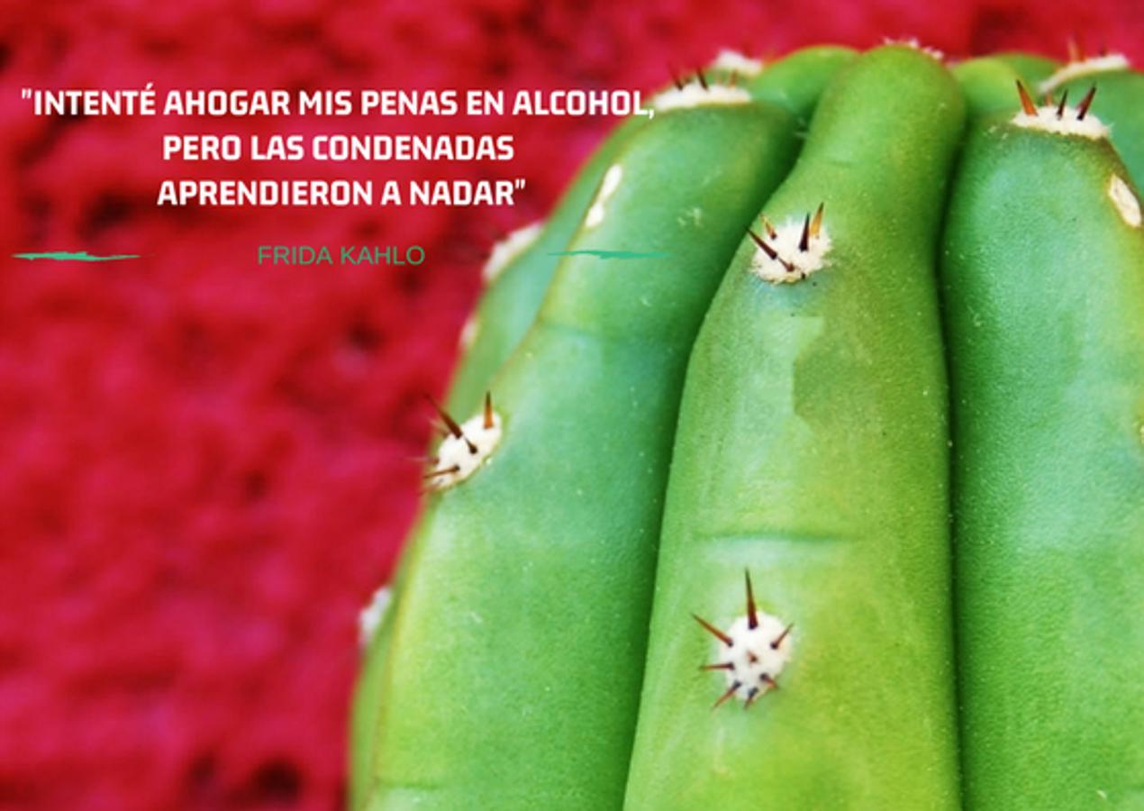"Intenté ahogar mis penas en alcohol, pero las condenadas aprendieron a nadar".