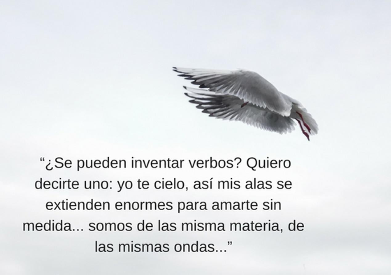 “¿Se pueden inventar verbos? Quiero decirte uno: yo te cielo, así mis alas se extienden enormes para amarte sin medida... somos de las misma materia, de las mismas ondas...” 