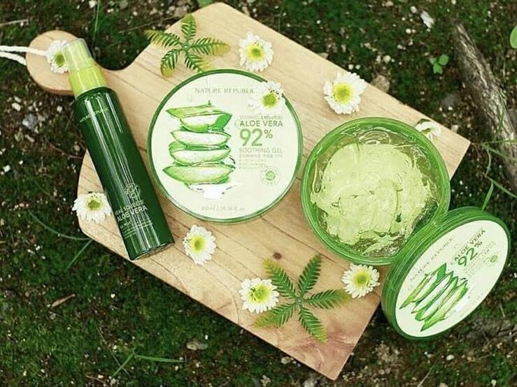 Fotos: Aloe vera: el ingrediente estrella de tus cremas este verano