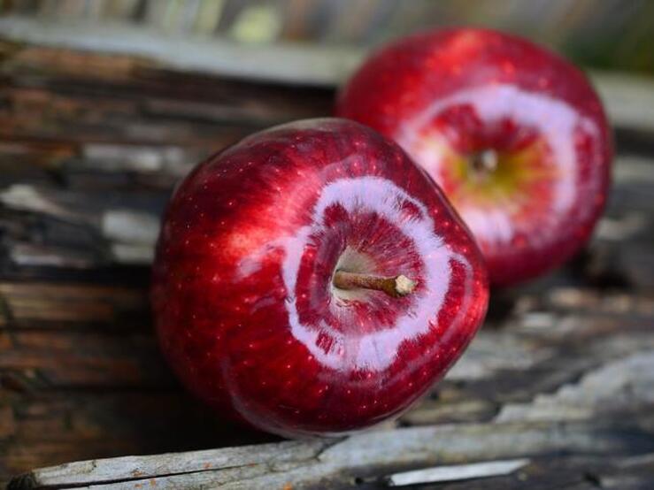 Fotos: Alimentos (y otras cosas) que parecen veganos pero no lo son