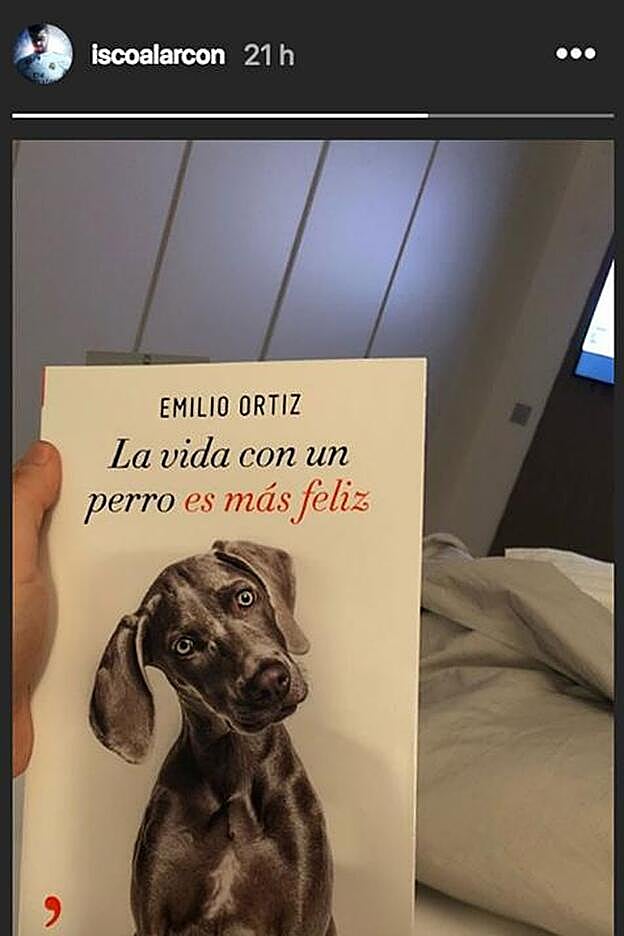 Isco Alarcón ha compartido esta imagen en sus 'stories'.