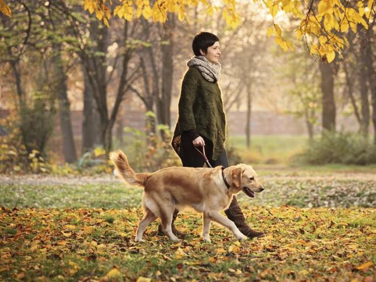 Fotos: Los mejores destinos 'pet friendly' para tus viajes con mascota