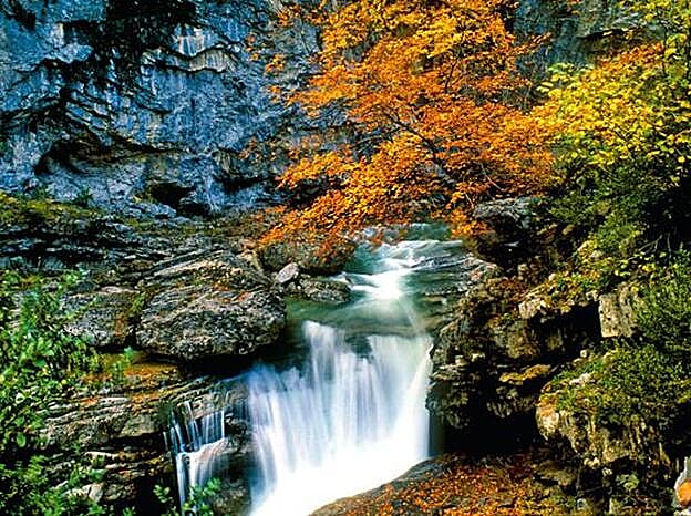 Cascada de Añisclo y paseo entre las hayas