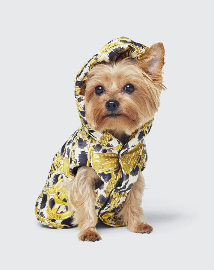 Y este abrigo para tu perrito de MoschinoxH&M, cuesta 79.99 euros, y  te hablamos aquí de él.