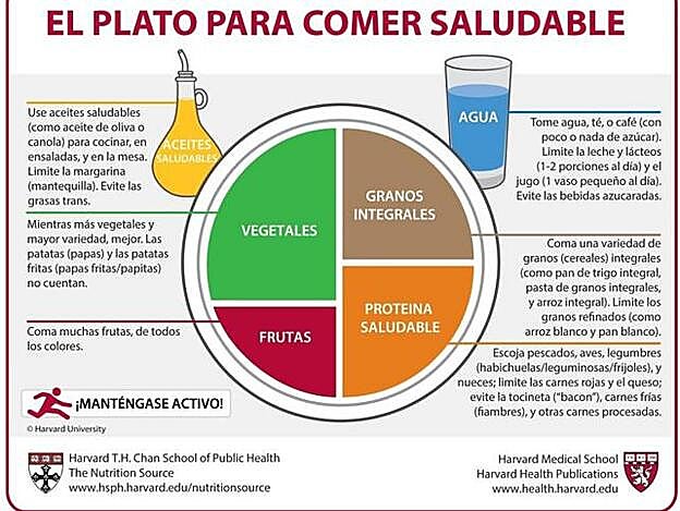 Copyright 2011, Harvard University. For more information about The Healthy Eating Plate, please see The Nutrition Source, Department of Nutrition, Harvard School of Public Health, www.thenutritionsource.org, and Harvard Health Publications, www.health.harvard.edu.