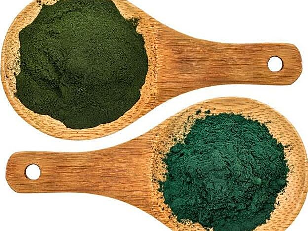 Alga Chlorella