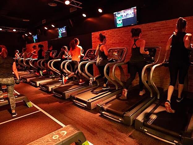 Zona de cintas de correr. Cuidado que la intensidad engaña (mucho más dura que en las máquinas de los gimnasios convencionales)