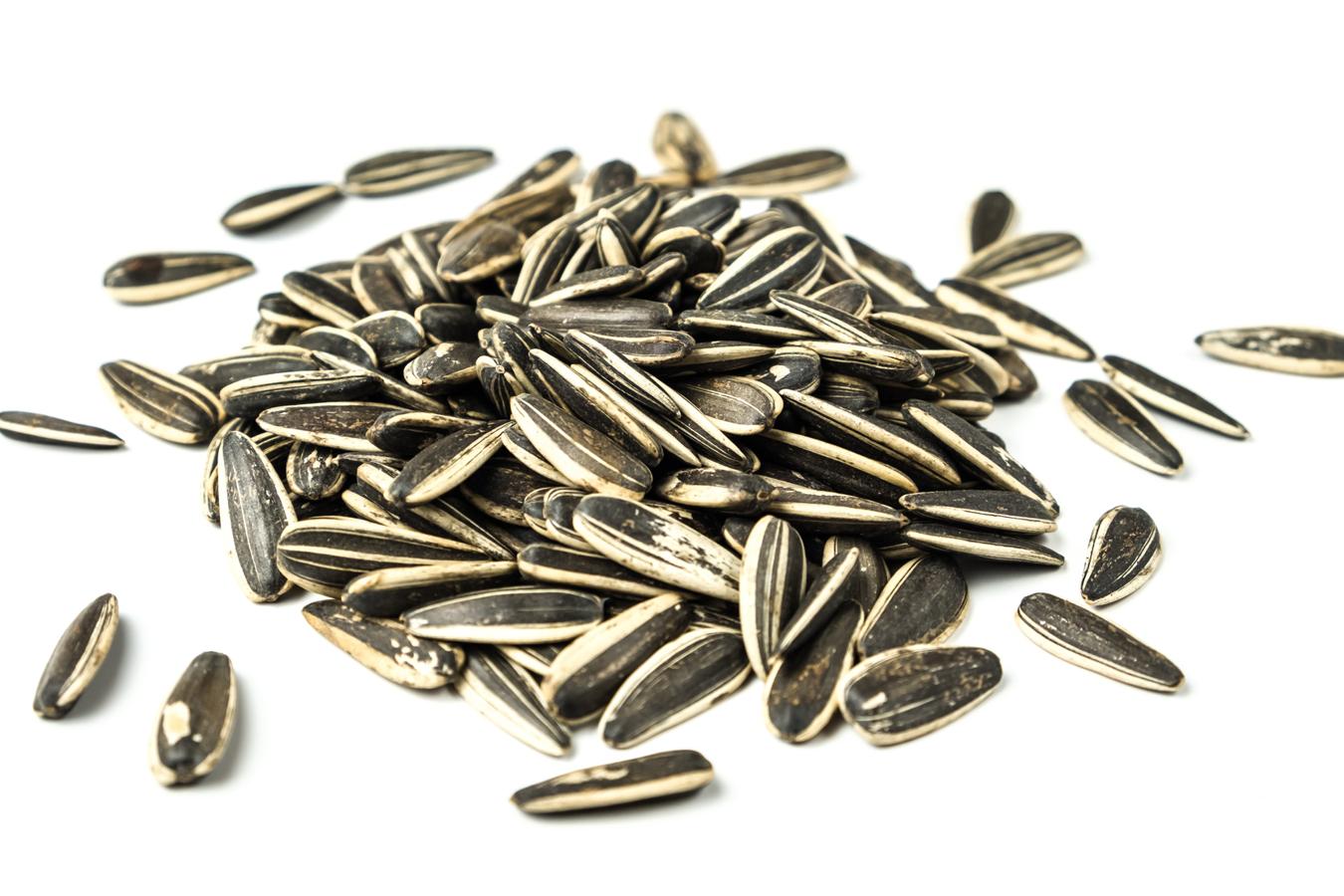 La semillas de girasol, más conocidas como 'pipas', son un fruto del que se extrae el aceite de girasol. Contiene entre un 10% y un 40% de ácido oléico, un ácido graso monoinsaturado que también encontramos, por ejemplo, en el aceite de oliva. Además contiene un  alto contenido de Omega 6 , siendo el segundo aceite vegetal más rico en este ácido graso pudiendo llegar al 70%.