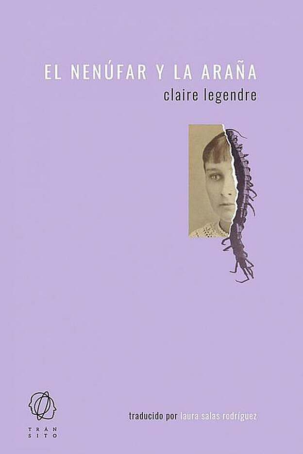Portada del libro 'El nenúfar y la araña'.