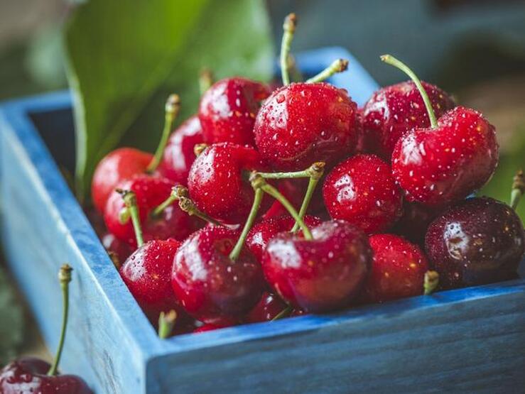 Fotos: 8 frutas friendly para la diabetes