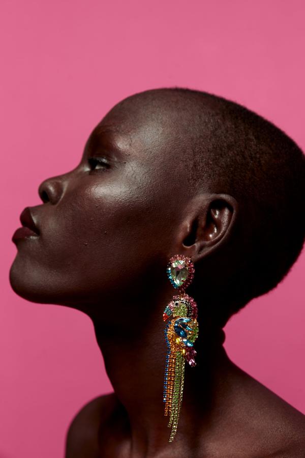 Maxi pendientes de strass con forma de pájaro (15.95 euros en Zara).