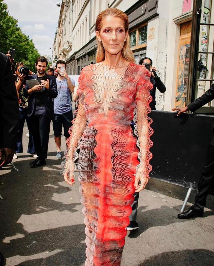 Impresionante. Si hay alguien que pueda defender este vestido y no sea una supermodelo, esa es Celine Dion. Para acudir al desfile de Iris Van Herper se vistió con este traje de la fiirma que es casi escultural.