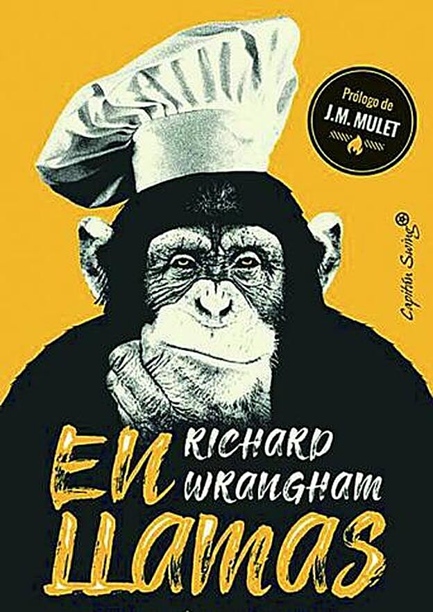 Portada del libro 'En llamas'