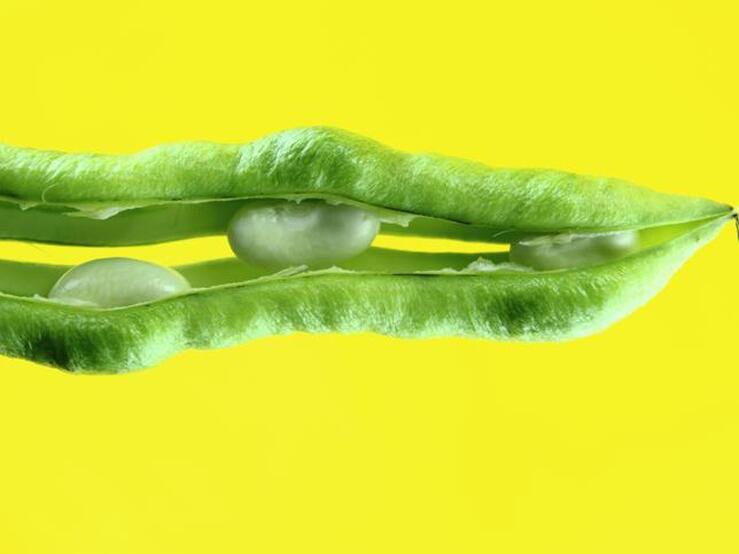 Fotos: ¿Vegano? Alimentos vegetales ricos en proteínas