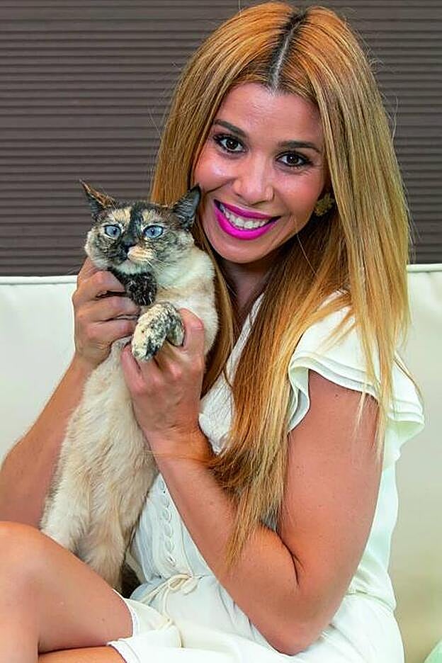 Al principio, los gatos de Natalia no se llevaban bien.