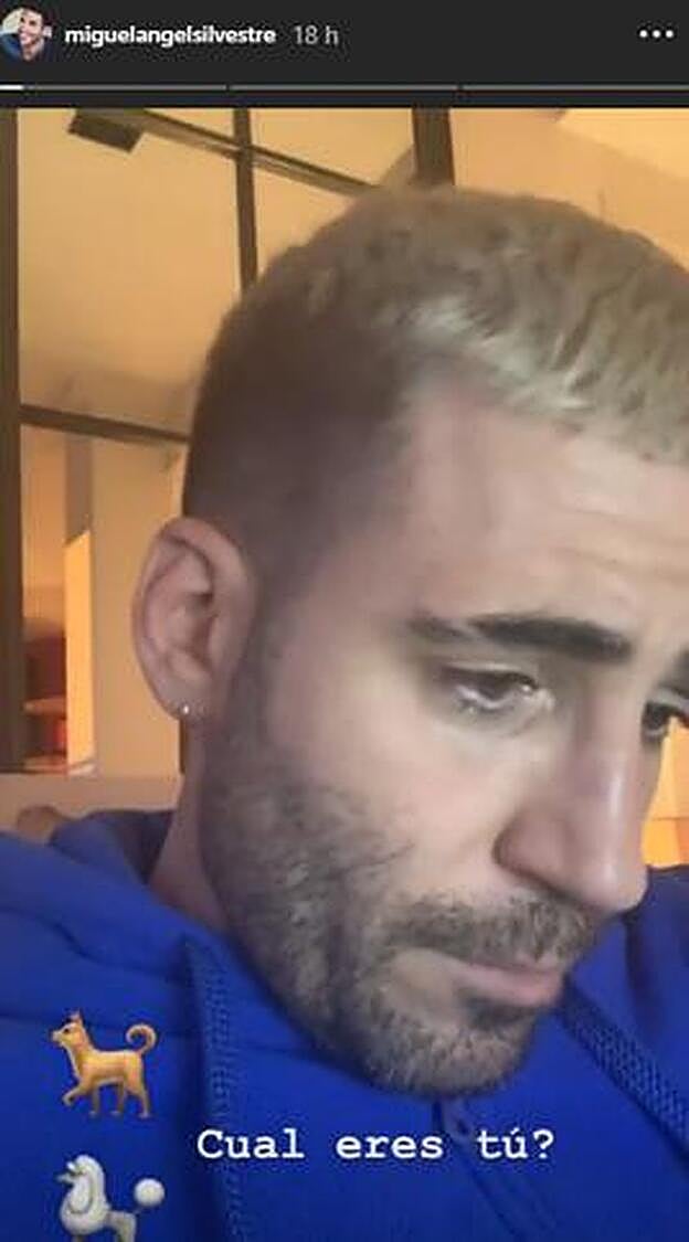 Miguel Ángel Silvestre sorprende a sus seguidores con este video