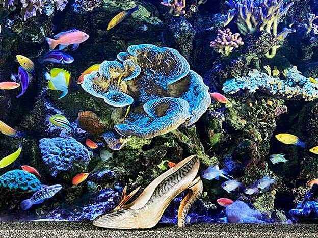 Imagen de la exposición de Loubotin.