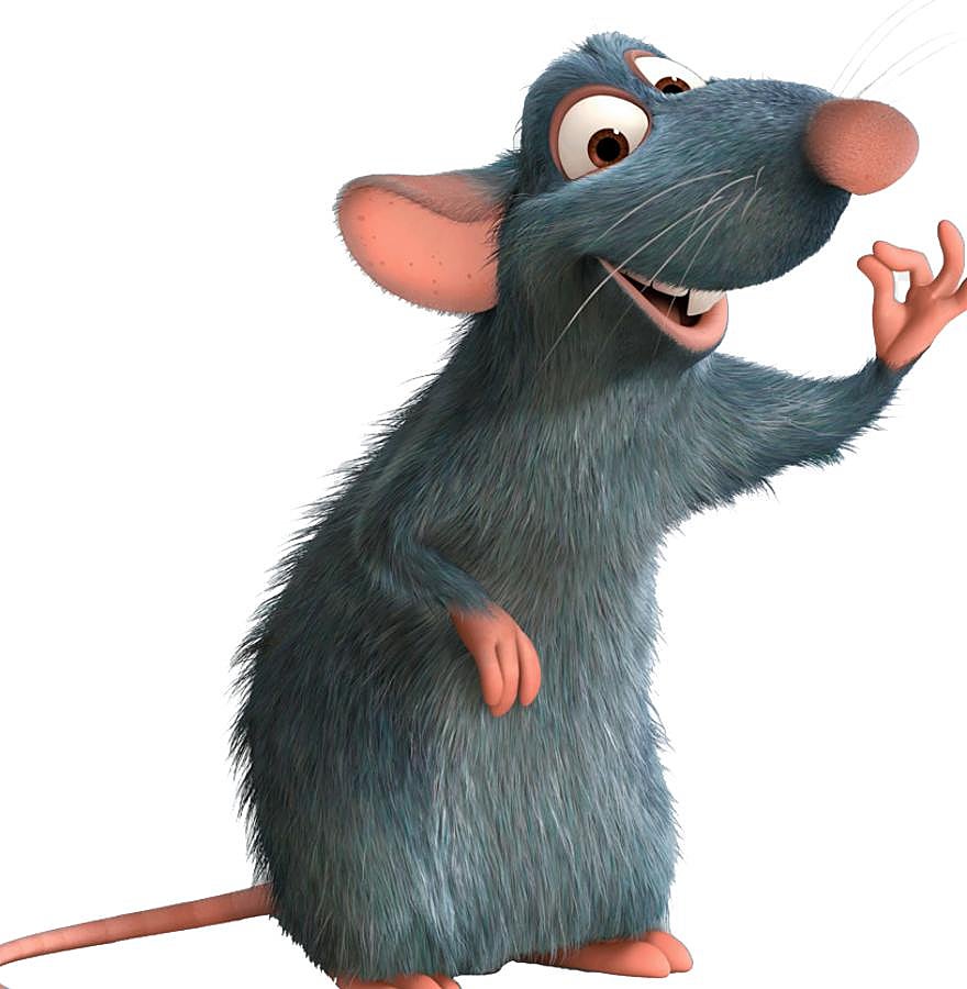 (Nacidas: del 29/01/60 al 14/02/61 – del 15/02/72 al 02/02/73 – del 02/02/84 al 19/02/85 del 19/02/96 al 06/02/97 – del 07/02/08 al 25/01/09). Para las que tienen pareja : Debes mimar tu relación y no te debes dejar llevar por el entusiasmo que te conduce a comprometerte a cosas que no cumples al final. Si lo consigues tendrás un año pletórico en el que desbordarás confianza en ti misma. Para las que no la tienen : El romanticismo te acompañará este año en el que las fiestas harán de ti el centro de atención. No dejes pasar las oportunidades, dentro de tu entorno más cercano encontrarás tu alma gemela si tienes paciencia para ello.