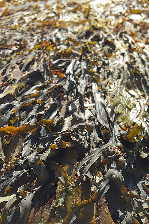 Mucho mejor en crema que al natural.