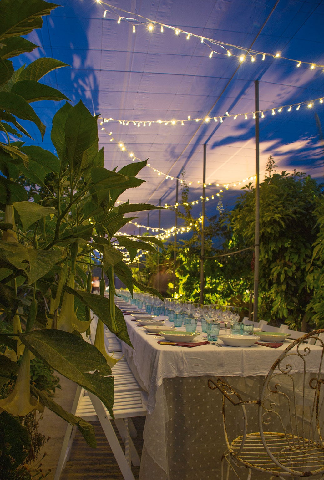 Cocinera antes que anfitriona, Amor González y sus cenas clandestinas son una leyenda en Levante. Cualquier lugar es susceptible de ser tomado al asalto por la chef (de un rincón con vistas en la huerta murciana a un callejón en el puerto de Cartagena, pasando por el patio ajazminado de una casa de pueblo) y su equipo (música en directo, mercadillos con obras de jóvenes creadores...). Ella comunica fecha y lugar en sus redes sociales y, en horas, el aforo está completo. (casatallerbirdie.com)