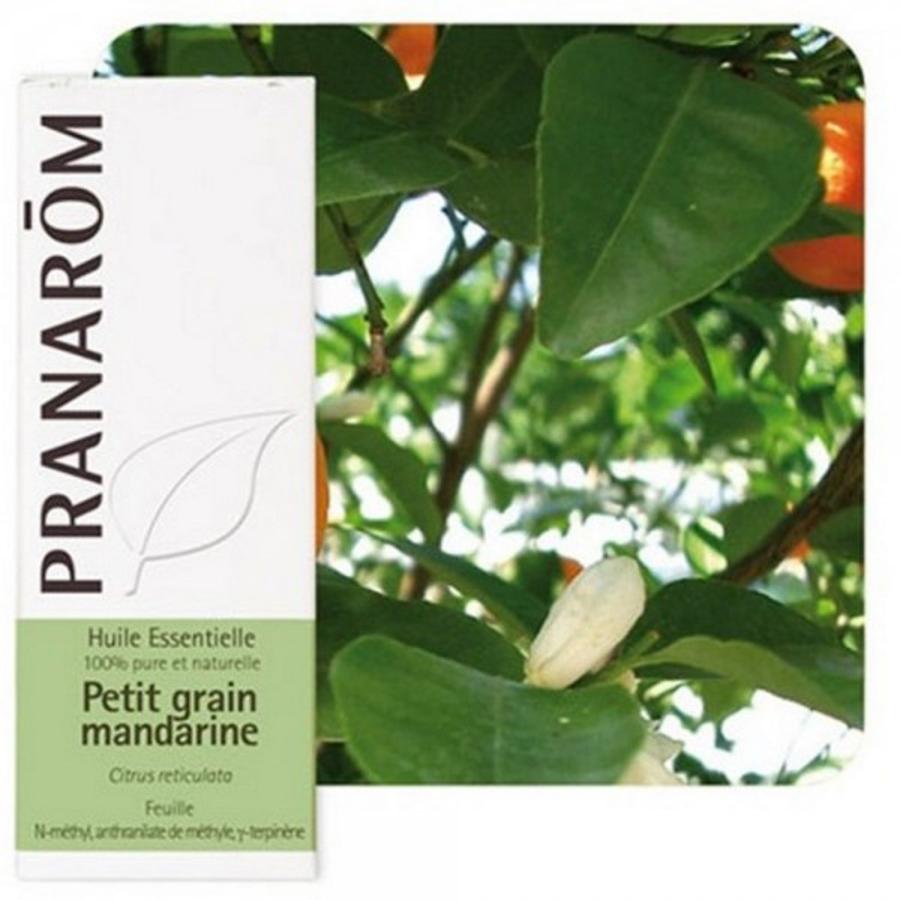 El Petit Gran Mandarino es un aceite natural extraido de las hojas del mandarino. Tiene efectos parecidos a los de la manzanilla, pero es algo más potente ya que además es un buen relajante muscular, por lo que si no duermes debido a la tensión, te ayudará a conciliar el sueño. ¿Cómo tomarlo? Oler el frasco antes de dormir, al igual que con la Manzanilla Romana. Aceite de Pranarôm.