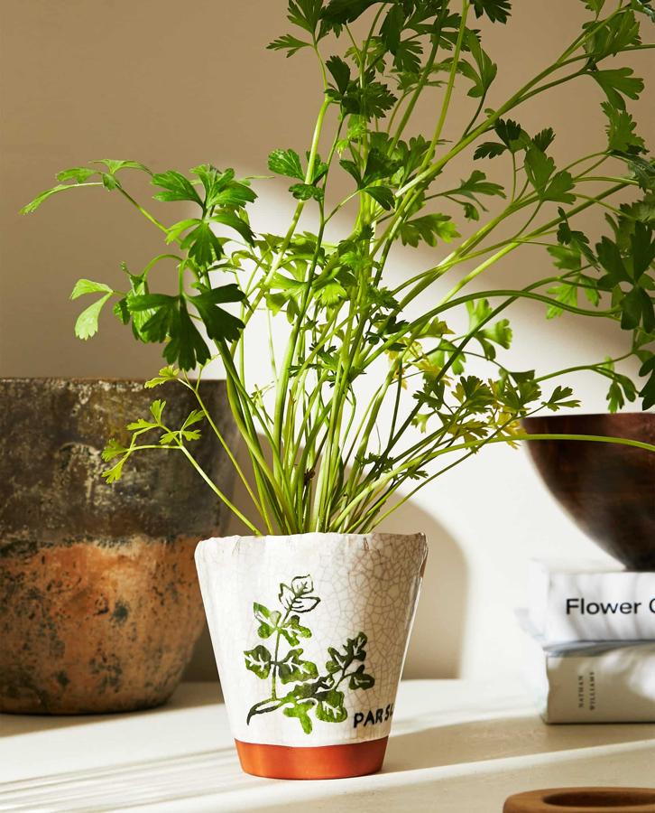 En acabado craquelado y perfecto para animar tu aburridísima cocina. 7,99 euros.