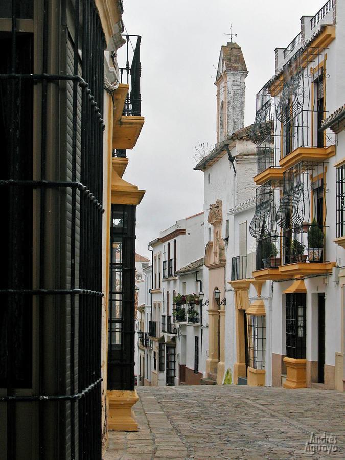 El casco histórico de Ronda, cercano al Tajo, es un laberinto de callejuelas encaladas y ventanales con rejas como esta Calle de la Ermita. Te quedarás enamorado de cada esquina.